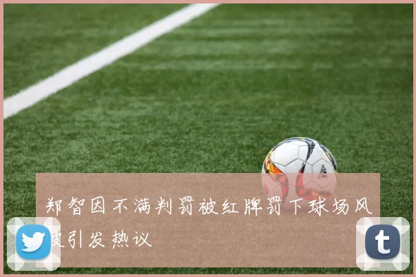 郑智因不满判罚被红牌罚下球场风波引发热议